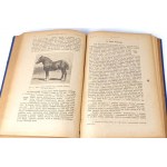 PRAWOCHEŃSKI- POCHODZENIE, POKRÓJ I RASY KONI; HODOWLA, WYCHÓW I UŻYTKOWANIE KONI1922