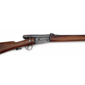 Neobvyklá karabina pro jezdectvo systém Vetterli, model 1871, SIG