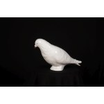 Sylwia WALANIA-TELEGA (nar. 1995), Bílý holub, 2023