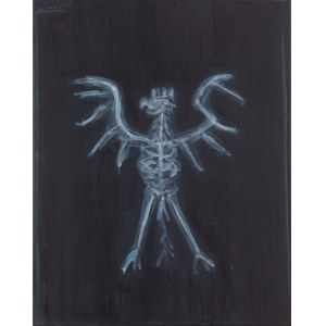 Patryk Sroczynski (b. 1988, Kalisz), X-ray.