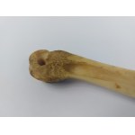 Bone paper knife, 1939.