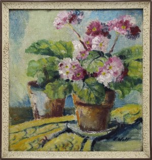 Emilia WOLF-ŁUCZKIEWICZ (1903-?), Kwiaty w donicy