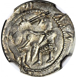 Ladislaus II. der Verbannte 1138-1146, Denar, Adler und Hase
