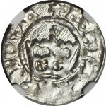 Jan Olbracht 1492-1501, Halber Pfennig ohne Datum Krakau, gemünzt