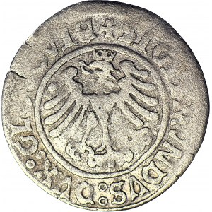 RRR-, Sigismund I. der Alte, Grosz 1504/6, Głogów