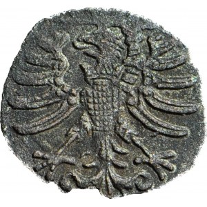 RR-, Sigismund I. der Alte, Denar ohne Datum, Elbląg, herzförmige Schilde