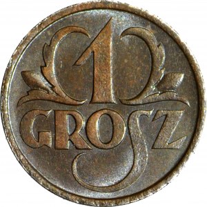 1 grosz 1925, menniczy