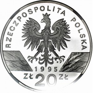 20 złotych 1995 Sum - NGC PF70 ULTRA CAMEO