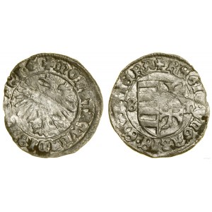 Polska, denar, ok. 1444
