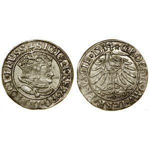 Polska, grosz, 1534, Toruń