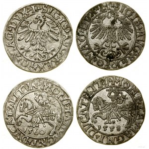 Polska, lot 2 x półgrosz, 1558, 1560, Wilno
