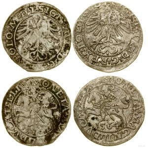 Polska, zestaw 2 x półgrosz, 1564, Wilno