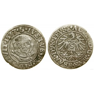 Prusy Książęce (1525-1657), grosz, 1537, Królewiec