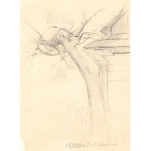 Jacek Malczewski (1854-1929), Studie eines Baumes