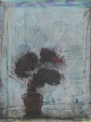 Jacek Sienicki (1928-2000), Begonia , 1994