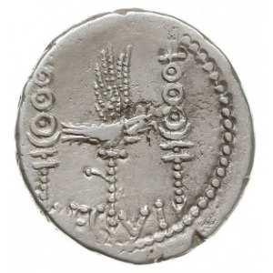 denar legionowy 32-31 pne, Legion VI, Aw: Galera w praw...