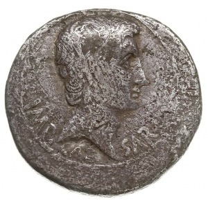 cystofor suberatus, Pergamon, 27/26 pne, Aw: Głowa w pr...