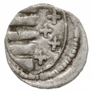 denar 1370-1382, Kraków, Aw: Tarcza andegaweńska, Rw: O...