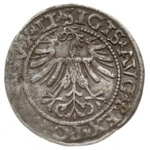 półgrosz 1562, Wilno, odmiana z odwróconym herbem Topór...