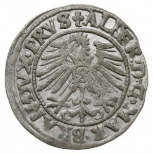 grosz 1548, Królewiec, Bahrf. 1205, Vossberg 1399, na a...