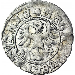 RR-, Alexander Jagiellonian, Halbpfennig mit Gotik-Renaissance-Inschrift