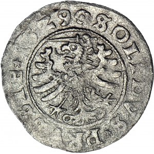 Zygmunt I the Old, Szeląg Toruń 1529