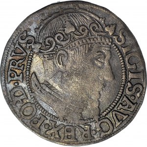 R-, Zygmunt II August, Grosz 1557, Gdańsk, R4