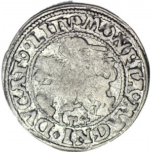 RR-, Sigismund II Augustus, Halbpfennig 1546, Vilnius, Ziffer 6 hoch im Datum, älterer Adlertyp, LITV/L+
