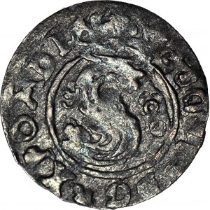 Zygmunt III Waza, Ternar 1630, Łobżenica, R2