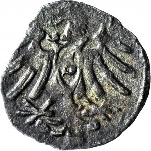RR-, Ducal Prussia, Albrecht Hohenzollern Denar 1563, R4