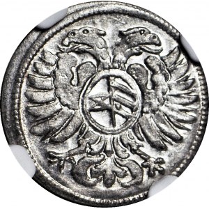 Silesia, Leopold I, Greszel 1704, Opole, magnificent
