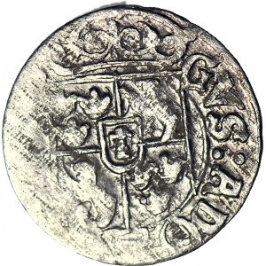Gustaw II Adolf, Półtorak 1631, Elbląg