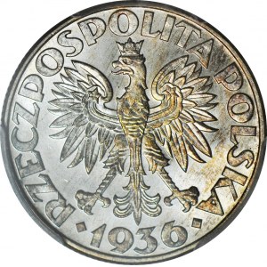 2 Gold 1936, Segelschiff, postfrisch