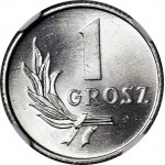 1 grosz 1949, menniczy