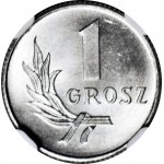 1 grosz 1949, menniczy