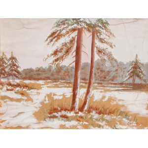 ZADURSKI (20. století), Zasněžené borovice