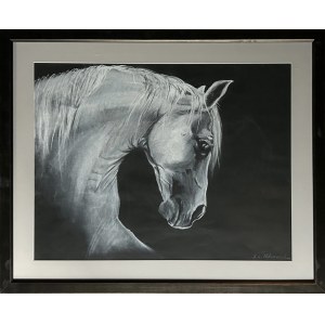K. L. Matuszewska, Horse