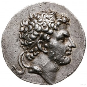 tetradrachma, 173-171 pne, mennica Pella lub Amfipolis;...