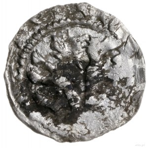 denar, ok. 1320; Aw: Korona z lekko rozchylonymi fleuro...