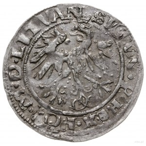 grosz 1536, Wilno; odmiana z literą I (Ianuar) pod Pogo...