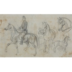 Piotr Michalowski, HORSE RIDER AND HORSE SKILLS