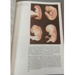 LEW-STAROWICZ Zbigniew - ATLAS PSYCHOFIZJOLOGII SEKSU Wydanie 1