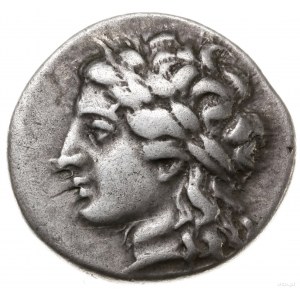 drachma, 260-250 pne; Aw: Głowa Apollina w wieńcu lauro...