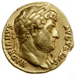 aureus, 125-128, mennica Rzym; Aw: Brodata głowa cesarz...