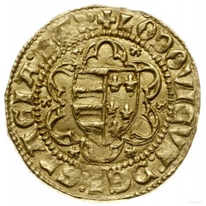 goldgulden, 1353-1357; Aw: Tarcza herbowa Węgier i Ande...