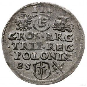 trojak 1585, Poznań; mała głowa króla (popiersie bez rę...