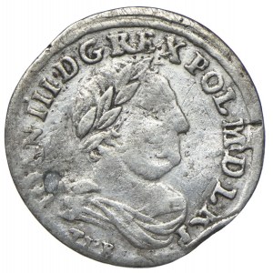 John III Sobieski, sixpence 1681 TLB, Bydgoszcz