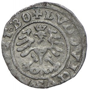 Silesia, Ludwig Jagiellonian, half-penny 1526 Świdnica