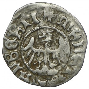 Jan I Olbracht, półgrosz, Kraków