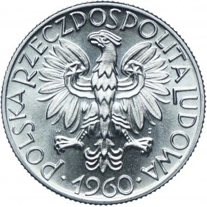 5 złotych 1960, Rybak